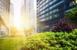 carbon credits Hong Kong